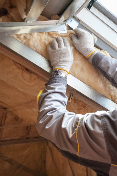 Best Spray Foam Insulation  in Wadsworth, IL