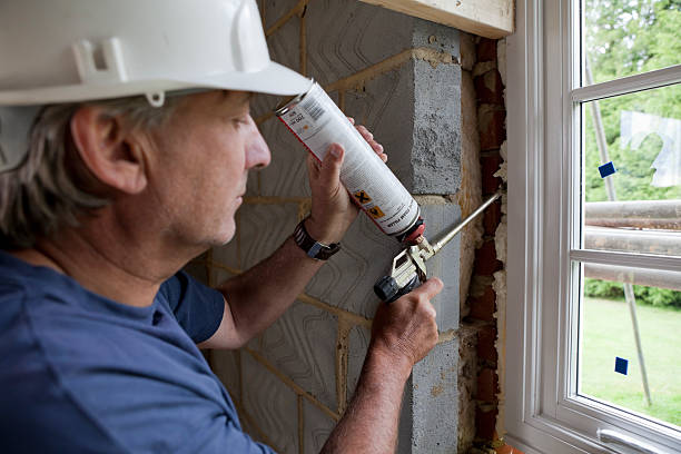 Best Insulation Inspection Services  in Wadsworth, IL
