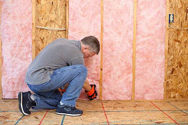 Best Spray Foam Insulation  in Wadsworth, IL