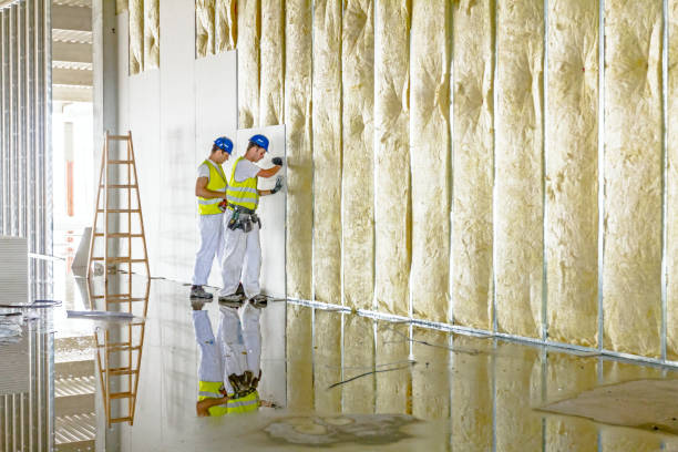 Best Energy-efficient Insulation  in Wadsworth, IL